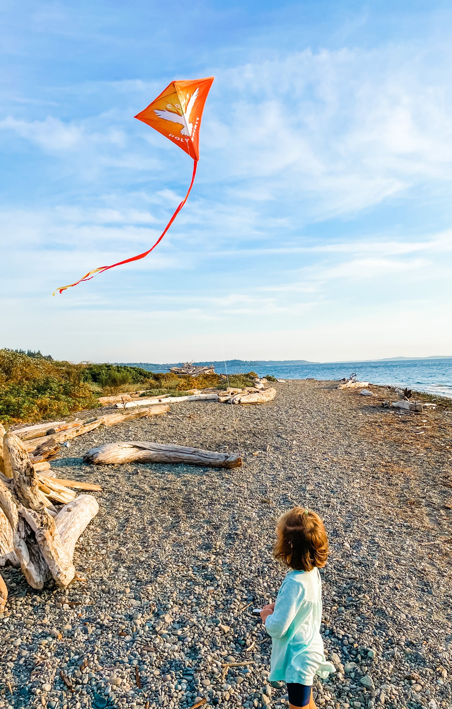 Come Holy Spirit Kite