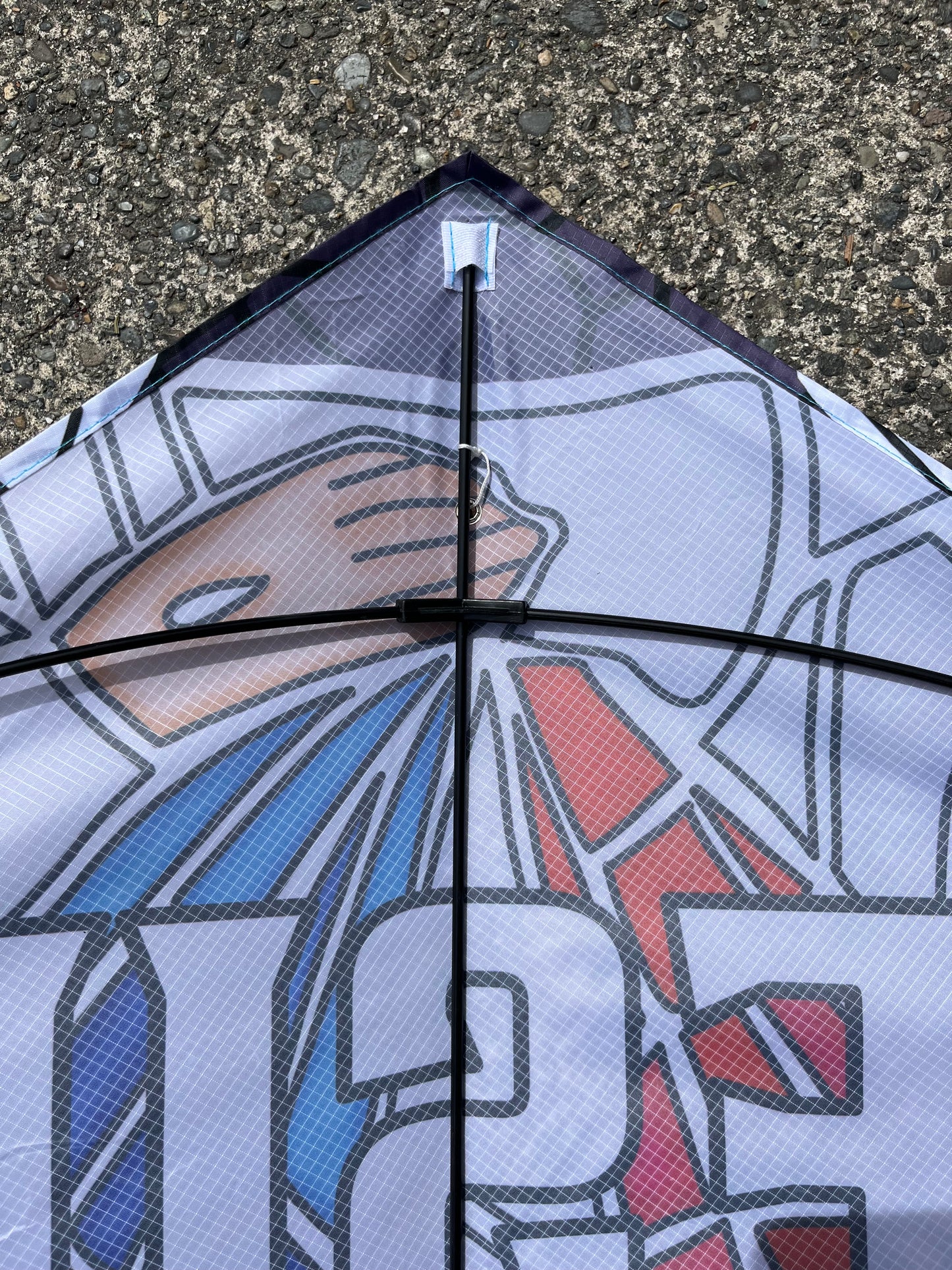 Divine Mercy Kite